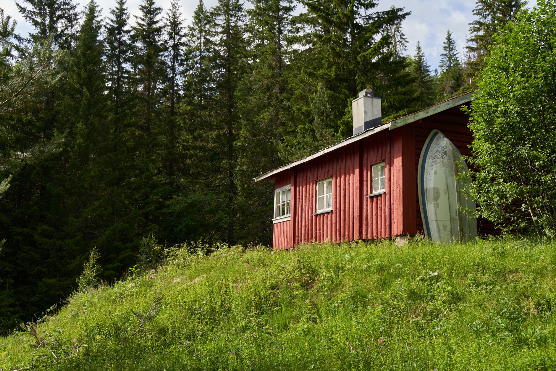 Minimalist Scandinavian wooden cabin surrounded by pines